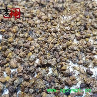 【99包邮】野菊花 统货 湖北产  颗粒小【良心经营 品种齐全】图4