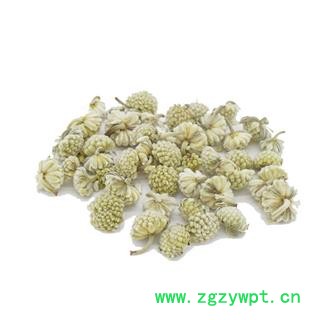 【满298元包邮】绿萝花 绿萝花统货 新货上市产地 西藏    1公斤1袋图3