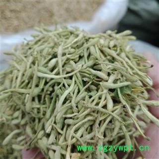 金银花青花大统货正品保证实图拍照 中药材批发 丽丽药业图2