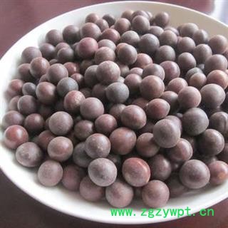 龙珠果 菩提子 太阳子 太阳果 正品保证质量7天无理由退货退款 华安堂图3