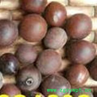 龙珠果 菩提子 太阳子 太阳果 正品保证质量7天无理由退货退款 华安堂图2