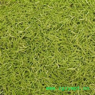 金银花 金银花青花精选货 特级 产地 山东省 产地直销图3