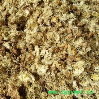 菊花 产地涨价 欲购从速 河北菊花统货 药用 纯干 地道药材统货 产地 河北省图3