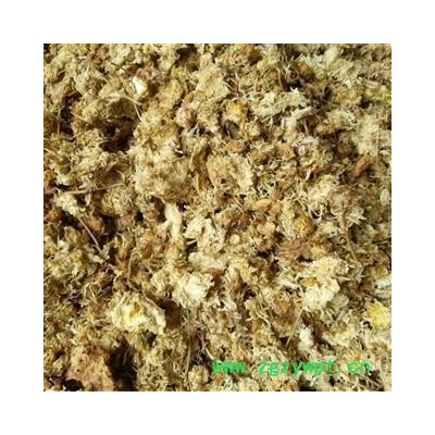 菊花 产地涨价 欲购从速 河北菊花统货 药用 纯干 地道药材统货 产地 河北省