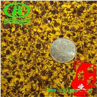 世元药业 雪菊 昆仑雪菊 茶饮极品 新货 烘干 双色金鸡菊 清三高花 两色金鸡菊 古丽恰尔 血菊图2