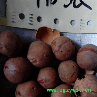 世元药业 佛眼 正品 优质 批发 零售图2