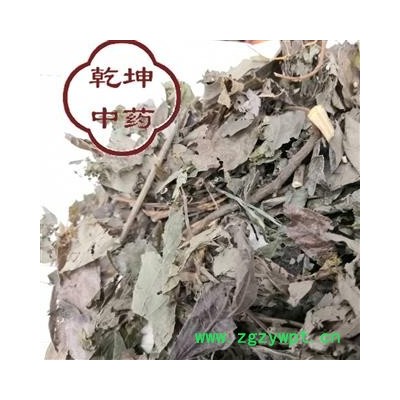 槐花 小槐花（胃草） 产地 四川省【品种齐全 诚信经营】