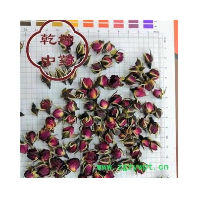 玫瑰花 金边玫瑰  云南好选货 产地 云南省【品种齐全 诚信经营】