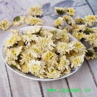 杭白菊正品保证质量7天无理由退货退款 中药材批发丽丽药业图3