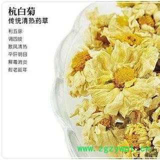 杭白菊正品保证质量7天无理由退货退款 中药材批发丽丽药业图4