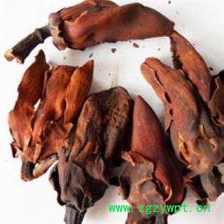 厚朴花统货正品保证质量7天无理由退货退款 中药材批发 丽丽药业图2