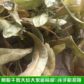椴树花 菩提树花 菩提叶 正品保证质量7天无理由退货退款 安品堂图2