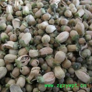 玳玳花 统货柚子花正品保证质量7天无理由退货退款 中药材批发 丽丽药业图3