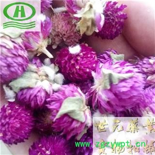 世元药业 千日红 红巧梅 茶饮一级 别称-火球花 百日红图2