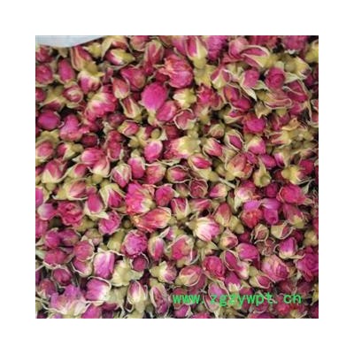 玫瑰花 一级玫瑰王 产地 山东省