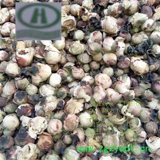 世元药业 山茶 正品 别称雪梅 薮春 山椿 耐冬 晚山茶 茶花 洋茶 山茶花图2