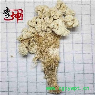 【99包邮】鸡冠花 白花统货 产地 四川省图2