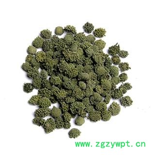 【满298元包邮】两年生三七花无柄小选货  新货上市颜色好 250克1瓶