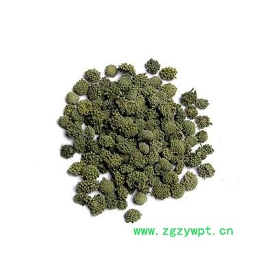 【满298元包邮】两年生三七花无柄小选货  新货上市颜色好 250克1瓶