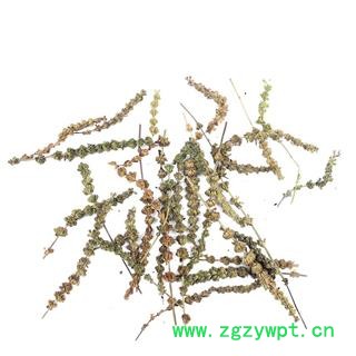 【满298元包邮】荆芥穗 荆芥穗统货 产地 河北省 500克一袋图2