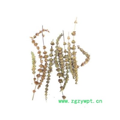 【满298元包邮】荆芥穗 荆芥穗统货 产地 河北省 500克一袋