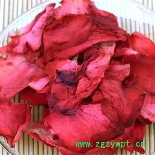 芙蓉花 01 芙蓉花 统 产地 山东省东营市利津县图2