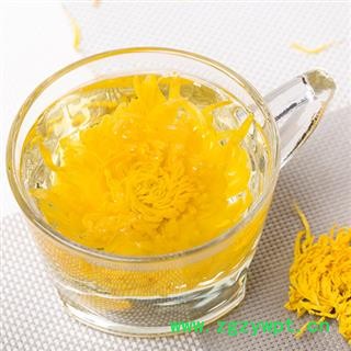 黄菊花 金丝黄菊 包 产地 安徽省图2