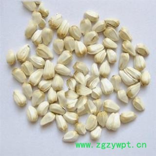 红花籽 红花子 正品保证质量7天无理由退货退款 华安堂图4