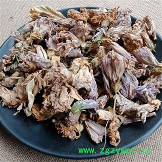 白芙蓉 芙蓉花 正品保证质量7天无理由退货退款 华安堂图3