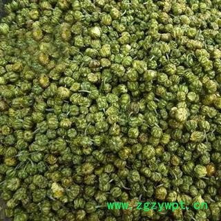 胎菊 胎菊米 选 产地 浙江省 重在质量图2