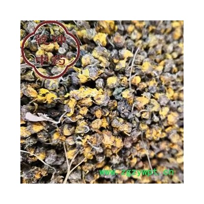 野菊花 选货  高含量  产地 湖北省【品种齐全 诚信经营】