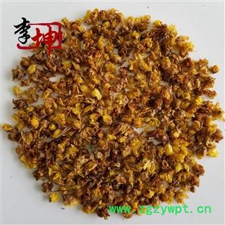 【包邮】腊梅花 选货 江苏腊梅花图2