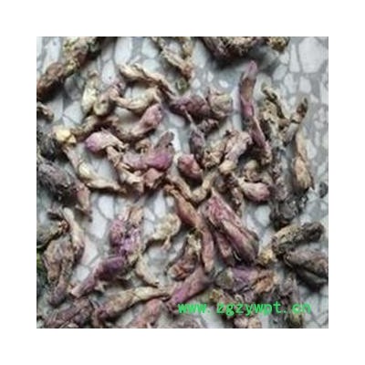 冬花 精品好统货  颜色好 欲购从速  产地 甘肃省