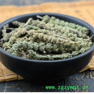 荆芥穗 02 荆芥穗 统 产地 河北省图2