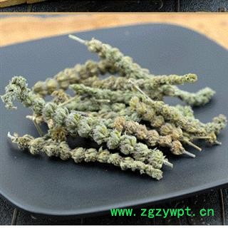 荆芥穗 02 荆芥穗 统 产地 河北省图3