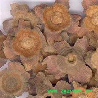 柿蒂 老柿蒂正品保证质量7天无理由退货退款 安品堂图4