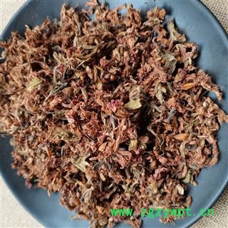 杜鹃花 迎山红 满山红 清明花 正品保证质量7天无理由退货退款 华安堂图2