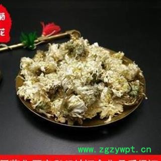 菊花 亳菊花正品保证质量 中药材批发 丽丽药业图2