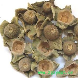 柿蒂 好柿蒂 头茬柿蒂 新货颜色好 正品保证质量无理由退货退款图4