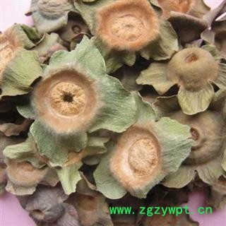 柿蒂 好柿蒂 头茬柿蒂 新货颜色好 正品保证质量无理由退货退款图3