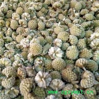 绿萝花 统货正品保证质量7天无理由退货退款 安品堂图3