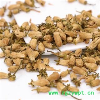 玳玳花正品保证质量7天无理由退货退款 绝对正品玳玳花 中药材批发丽丽药业图3