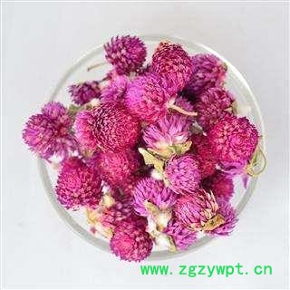 千日红 红巧梅正品保证质量7天无理由退货退款 中药材批发 丽丽药业图3