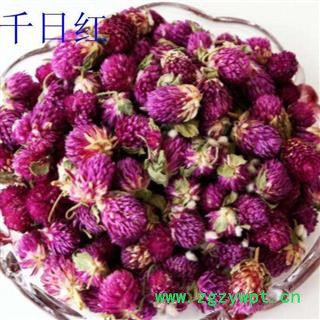 千日红 红巧梅正品保证质量7天无理由退货退款 中药材批发 丽丽药业图2
