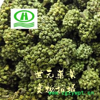 世元药业 三七花 正品 无污染 山漆花 金不换花【全品除尘中药】