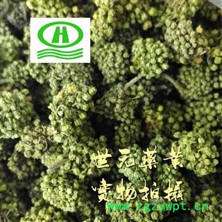 世元药业 三七花 正品 无污染 山漆花 金不换花【全品除尘中药】图2