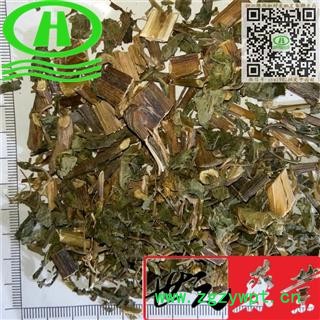 世元药业 天名精 天明精 天蔓菁挖耳朵草 癞虱草 天门精 地菘 玉门精 麦句姜 蟾蜍兰 活鹿草 母猪芥 鹤虱草图2