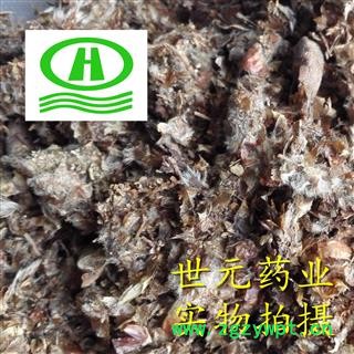 世元药业 杨树花 正品 别称 梧树芒 杨树吊 杨树须 杨树絮 杨絮 杨树花 毛白杨花絮 大叶杨花絮图2