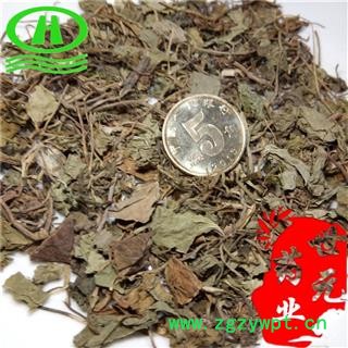 世元药业 满天星 正品 天胡荽 步地锦 鸡肠菜 破钱草 千光草 铺地锦 肺风草 落地金钱 镜面草 遍地金 克麻藤 地钱草 野芹菜图2