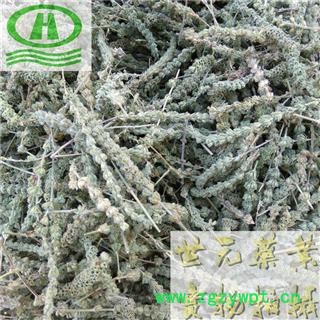 世元药业 荆芥穗 芥穗 正品 香荆荠 线荠 四棱杆蒿 假苏图2